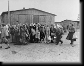 Evacuating female political prisoners from Bergen-Belsen. * 472 x 370 * (65KB)